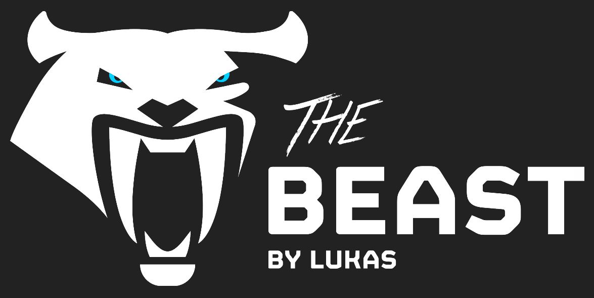 S 799 Schaar "The Beast"